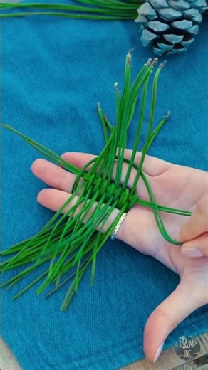 Carve Your Own Pine Spoon Easily (FULL TUTORIAL)