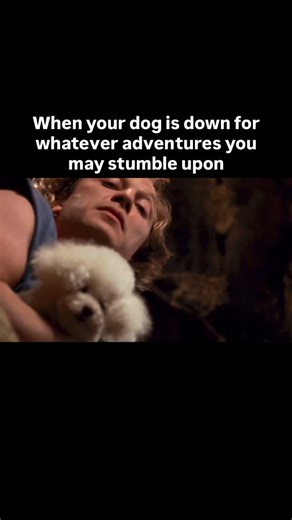 Michael Lobato on Instagram: "Just another crazy weekend adventure!! All jokes aside did you know the dog, real name Darla, that played precious in silence of the lambs was also in pee wees big adventure and other movies! However most note worthy is that I have “precious” tattooed on me as part of a horror theme sleeve! I had to add the dog to the scene! #dog #dogs #dogtraining #dogmeme #dogmemes #puppy #puppytraining #puppymeme #meme #memes"