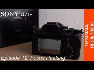 How to activate focus peaking for better manual focus in your Sony Alpha 7 IV - Fast & Easy Tutorial