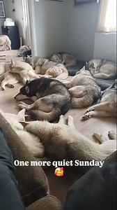 11K views · 19K reactions | We love to start our Sundays like this,...