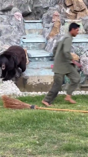 At a Zoo in Pakistan , tha staff member escaped at the last moment. #pakistan #zoo #bearattack