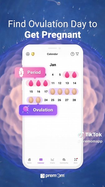 Finding ovulation day is the 🔑 to getting pregnant! The sperm and egg have to meet at the right time, then it’s waiting for that magic to happen 💜 Start tracking ovulation today with the free Premom app! #fertilewindow #highfertility #getpregnant #premom #tryingtoconceive