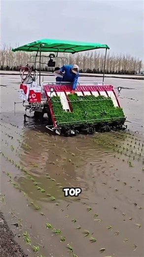 Rice Transplanter Machine 🔥 Farming Revolution in Minutes 🤯