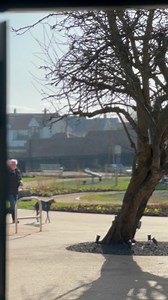 What a beautiful day at Bamburgh Walled Garden! 🌷☀️ We will be opening a little later tomorrow (Fri 11 April) at 11:30am, as we are hosting a private opening event in the morning! #bamburgh #bamburghwalledgarden #northumberland #cafe #bamburghvillage | Bamburgh Walled Garden
