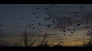 183K views · 1.3K reactions | North Bound - Rolling Thunder S2 Ch2 | Rolling Thunder Game Calls | Facebook