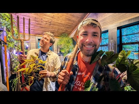 Pt. 3 Potting Shed Remodel: Turning the SHED into a GREENHOUSE! (Plant Setup & Frost Rescue)