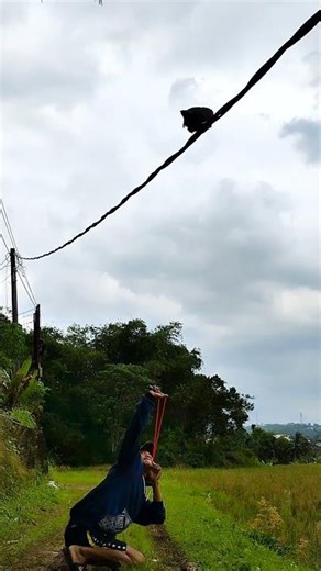 how to shoot birds with simple skills.