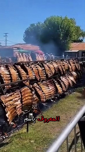 1.9M views · 22K reactions | #mangolia #australia #لحوم | Statistics and Number | Facebook