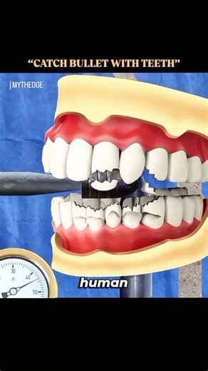Can You Catch a Bullet With Your Teeth? (MythBusters Tested It)