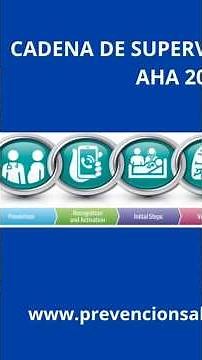 UPDATED 2026 AHA INFANT CHAIN OF SURVIVAL