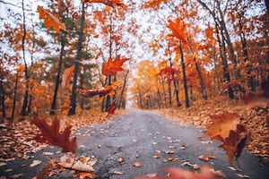 13K views · 32 reactions | Front Royal Virginia  TRAFFIC ADVISORY...