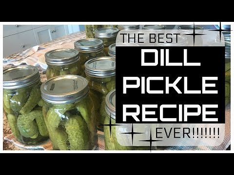 Best Dill Pickle Recipe!!! Plus, Canning Tips & Tricks!
