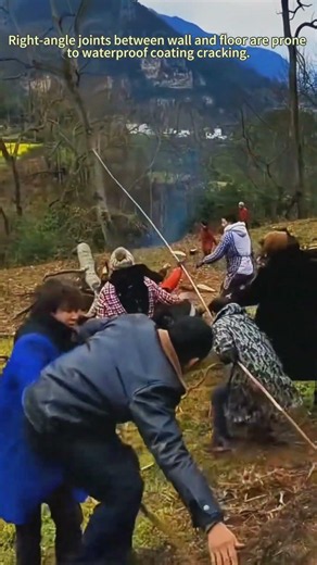 Wrong Tree Felling Puts Crowds In Life-Threatening Danger 🌲