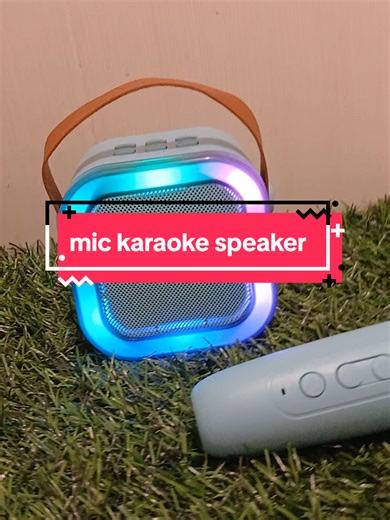 Mini Bluetooth Karaoke Microphone for Fun Nights