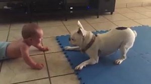 Nature Lines on Reels