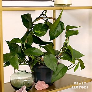 Mid-week crafts inspo! | Craft Factory