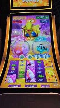 Feeding Time Gold Fish $12 Bonus