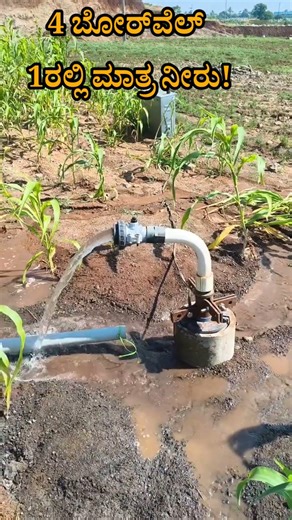 ​4 Borewell failure, only 1 success! | ರೈತನ ಕಣ್ಣೀರಿನ ಕಥೆ #viral #shorts #farming