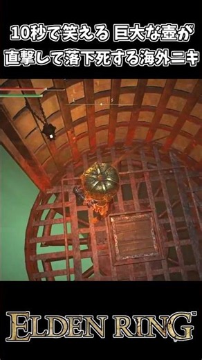 Overseas player gets crushed by a falling pot in an elevator and falls to their death [ELDEN RING]