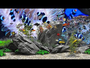 Underwater (4K UHD60) Movie Background Digital Fish Aquarium Relaxing Screensaver