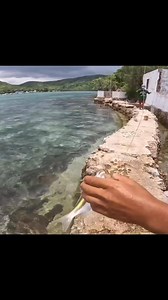 Awesome Kids Fishing To Abandoned Island | Catch & Sell | AmazingSea Team