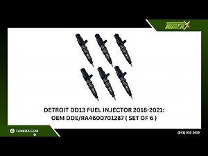 Detroit DD13 Fuel Injector 2018-2021: OEM DDE/RA4600701287 ( Set of 6 )