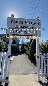 31K views · 291 reactions | There’s still time to squeeze in a summer visit! ☀️ The Amish Village is open daily through Labor Day—come explore the The Amish Village, meet the animals, and take a ride through the countryside on our Backroads Bus Tour! | The Amish Village | Facebook