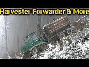 Timberjack 1410D | Supersound