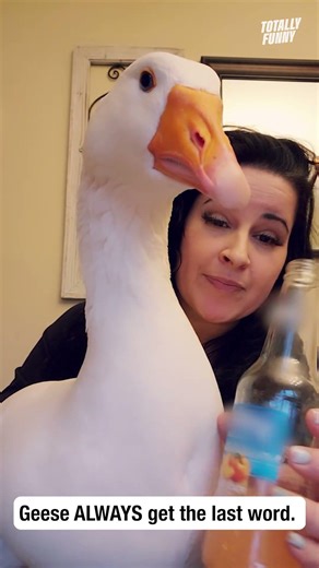 This opinionated goose is not interested in hearing both sides 🤣 #shorts