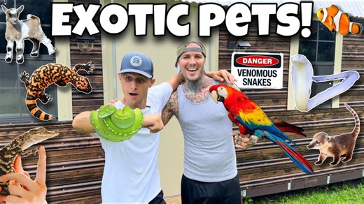 EXOTIC SNAKE Gets His DREAM HOME!!