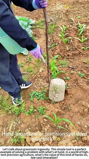 Root‑Level Care: Precision Fertilizing with a Homemade Tool 🌱🔧