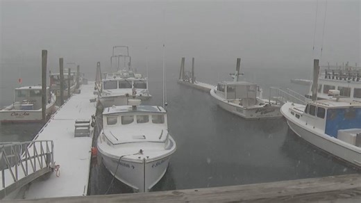 Hundreds temporarily lose power as strong storm blasts Midcoast