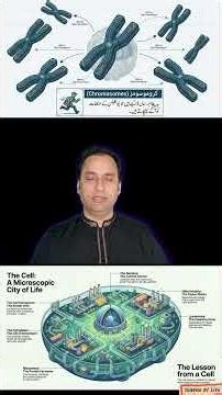 The Amazing World of Cell & Human Life