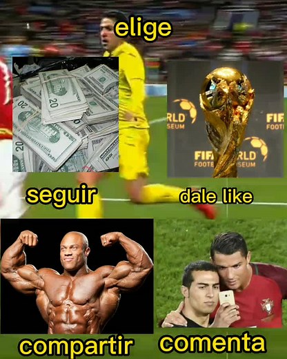 Money vs. Muscles: A Visual Comparison of Values