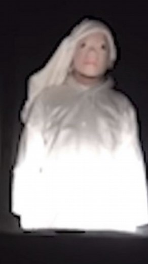 17 reactions | Name - Fake Documentary Q Watch on YouTube Over the course of numerous self-contained episodes, Q depicts strange or occult happenings in Japan. Events seen as normal or harmless often seem to have supernatural dark implications. #horror #horrormovies #horrorfilm #horroraddict #horrorfan #horrormoviereviews #horrormovierecommendations #horrorreview #horrorjunkie #scarymovies #scary #foundfootagehorror #foundfootage | Brian Fears Ghosts | Facebook