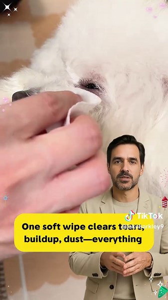 Red, Tear-Stained Eyes? Wipe Them Like This.#pet #doglover #fyp #doghealth #eyes