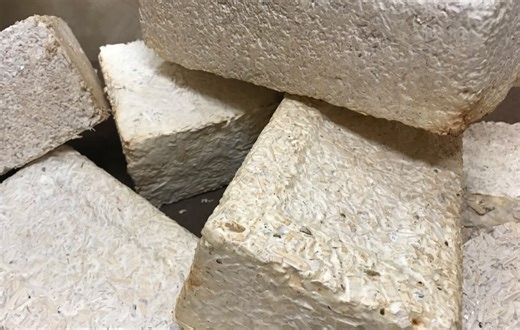 NASA is prototyping fungal mycelium bricks to “grow homes”