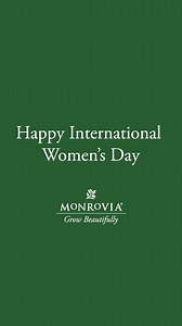 3.7K views · 51 reactions |  On International Women's Day, we honor the strength and passion of the women who have been at the heart of Monrovia for nearly a century. From selecting the finest plant varieties to ensuring each one thrives, their commitment to quality shines through in every bloom. Cheers to the women who help us #GrowBeautifully.  Tell us about the women in your life that inspire you to #GrowBeautifully! #internationalwomensday #IWD #monroviaplants | Monrovia | Facebook