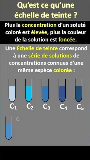 What is a color scale?