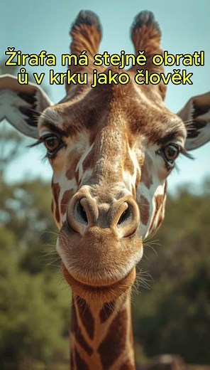 5 věcí které jsi možná nevěděl o zvířatech 🤯 #shorts #zvirata #zajimavosti #fakta #animals