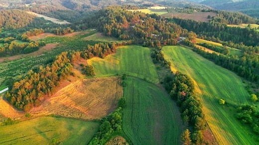 Free Long Videos: 4K & HD | No Watermark | Download Now