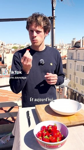 Recette Vin de Fraise Maison 🍓 Facile & Rapide