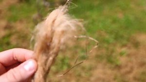 No way this works - then the padlock crumbled