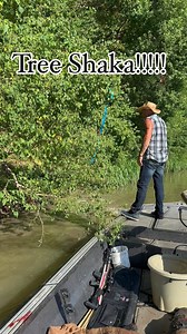 69K views · 2.8K reactions | Tree Shaka!!! @donkattdaddy better hold on! #swamppeople #alligators #swamp #louisiana #gator #troylandry @swamppeople @troylandry61 | Jacob Landry (swamp People) | Facebook