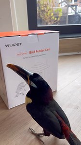 197K views · 4.6K reactions | For background: Chester had a traumatic...