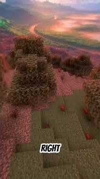Amazing Minecraft Graphics