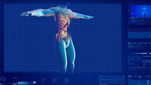 Human & Applied Physiology | King's College London