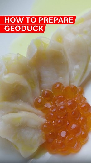 Eater on Instagram: "Geoduck (pronounced “gooey duck”) is not really a duck at all. Native to the Pacific Northwest, the large burrowing clam is prized for its sweet, clean flavor and, um, phallic appearance.  Taylor Shellfish Farms (@taylorshellfish) harvests the luxury bivalves in the pristine waters of the Puget Sound and serves them at its oceanside oyster bar. Would you try this intriguing delicacy? Tap the link in our bio to watch the full video. Presented by @Yeti"