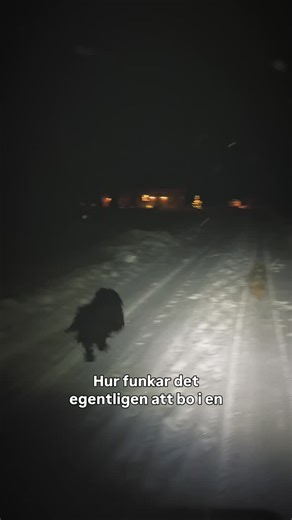 Jag känner att min kapacitet som social media manager consultant specialist på Yxa & Såg börjar nå sin fulla potential. Vad tycker du? Skämt åsido. Oisolerad timmerstuga på 30 kvm exkl sovloft funkar utmärkt att bo i året runt. En vältimrad stomme med rejält bjälklag och gott om takisolering står pall mot det mesta. Störta byggnader och andra familjära behov kan säkert tarva andra lösningar. Men detta funkar för oss 😊 #dalarna #allmoge #timring #elda #fruga | Kalle Bergdahl