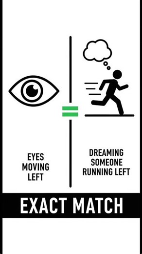 Why your eyes move when you dream
